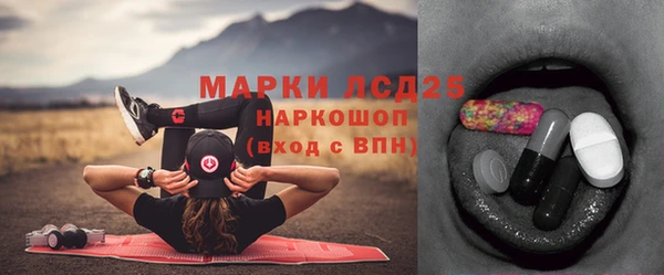 соль ск Медвежьегорск
