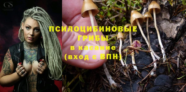 тгк Мегион