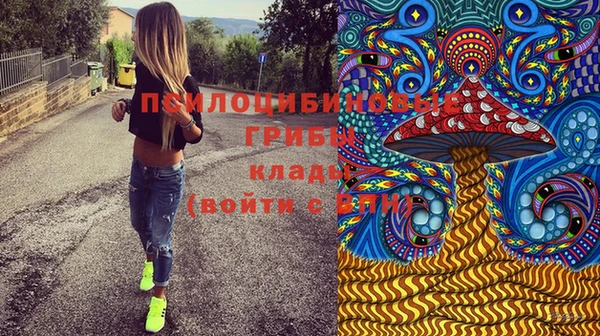 соль ск Медвежьегорск