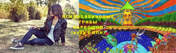 соль ск Медвежьегорск