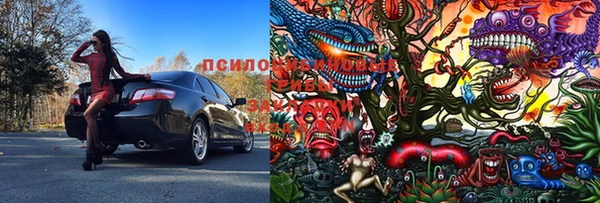 тгк Мегион