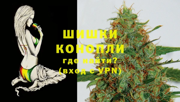 соль ск Медвежьегорск