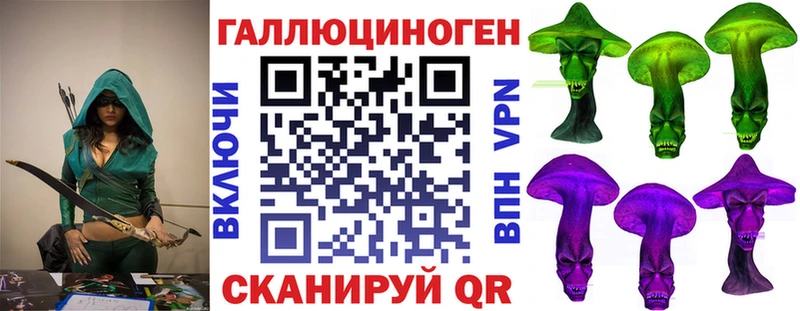 Псилоцибиновые грибы Psilocybine cubensis Тбилисская