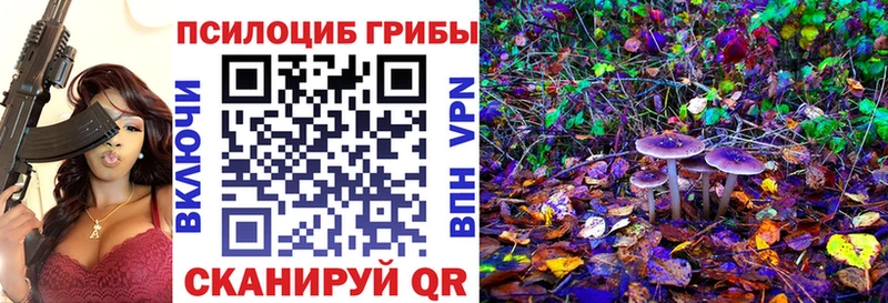 Купить где  Тбилисская  Галлюциногенные грибы Psilocybine cubensis 