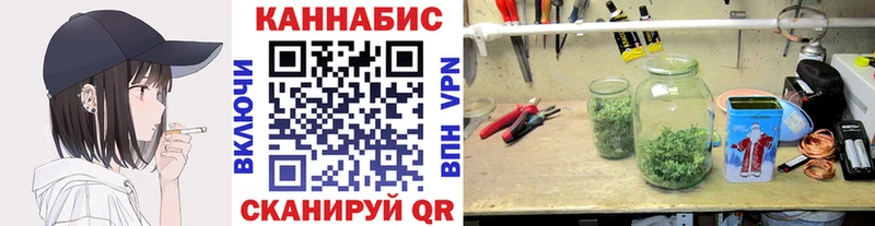 Купить где  Тбилисская  Конопля Ganja 